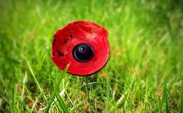 Coquelicots en bois tournés, pièces uniques façonnées à la main, teintées à l’encre ou à la teinture à l’alcool, accompagnées de leur soliflore assorti. Œuvres délicates signées Atelier O-Inspirations.