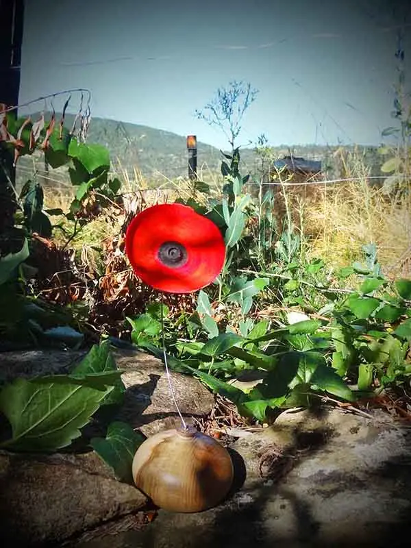 Coquelicots en bois tournés, pièces uniques façonnées à la main, teintées à l’encre ou à la teinture à l’alcool, accompagnées de leur soliflore assorti. Œuvres délicates signées Atelier atelier La Goutte